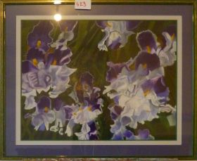 Irises