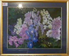 Pink And Blue Delphiniums